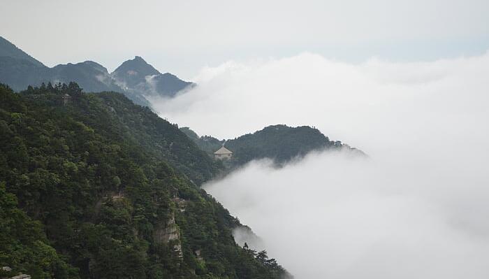 作者不识庐山真面目的原因是什么 作者为什么不识庐山真面目