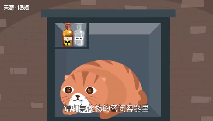 薛定谔的猫是什么意思 薛定谔的猫什么意思