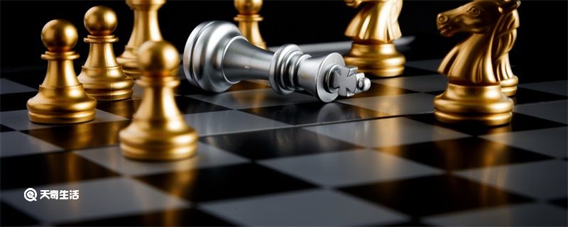 国际象棋竞赛规则 国际象棋比赛规则