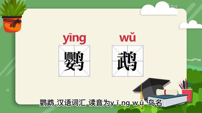 鹦鹉的意思 鹦鹉什么意思