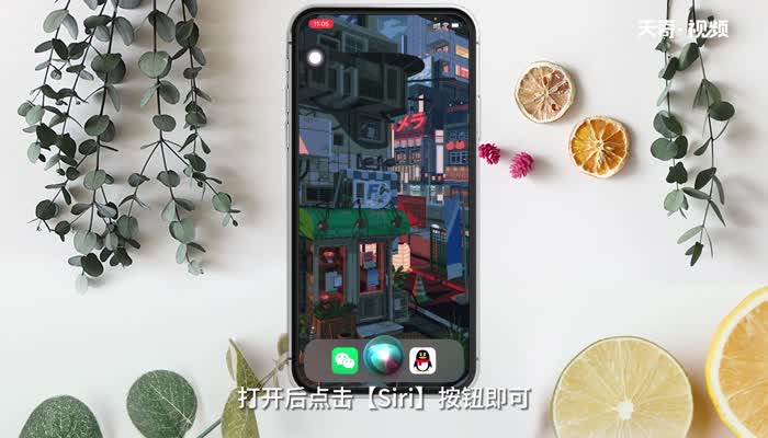 Siri在哪里 Siri在什么地方