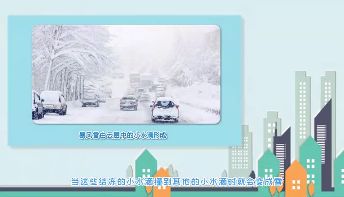 什么是暴风雪 暴风雪的定义