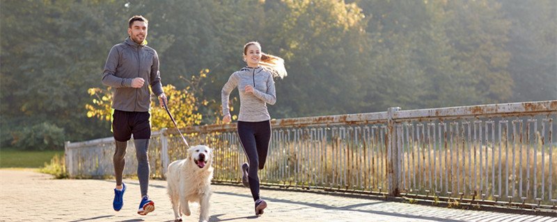 butterfly运动服是哪个国家的 butterfly衣服什么牌子