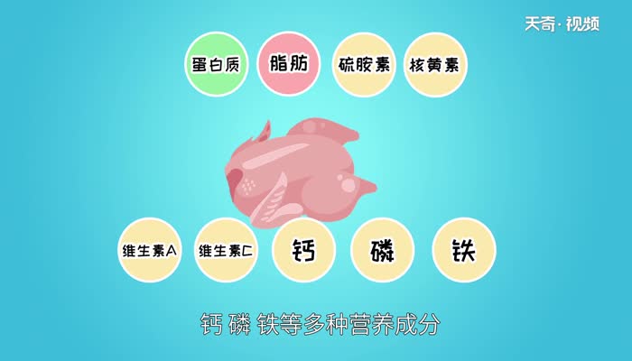 鸡肉是寒性食物吗  鸡肉属于寒性吗