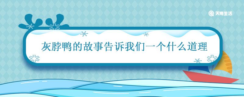 灰脖鸭的故事告诉我们一个什么道理 灰脖鸭主要内容