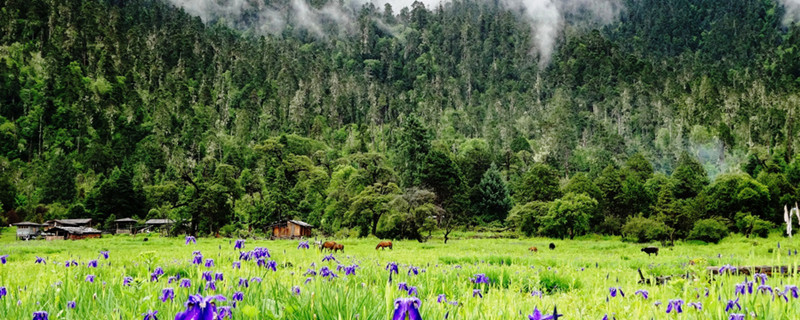 吐蕃帝国是被谁灭了 吐蕃国是被谁灭的