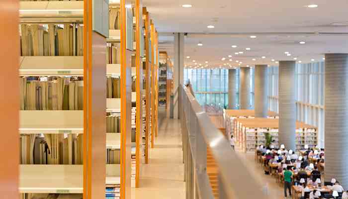 那个星期天主要内容 那个星期天主要内容概括