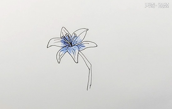 百合花简笔画