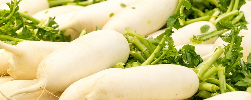 萝卜青菜各有所爱是什么哲学道理 萝卜青菜各有所爱是什么意思