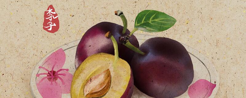 王戎不取道旁李翻译 王戎不取道旁李翻译及启示