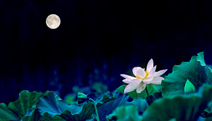 一个月三十天的雅称 一个月三十天的雅称和古代别称是什么