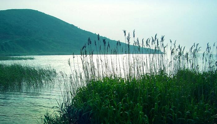 洞庭湖是我国第几大淡水湖 洞庭湖属于我国第几大淡水湖