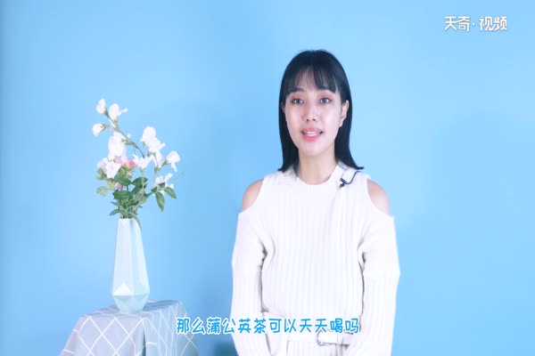 蒲公英茶可以天天喝吗 蒲公英茶有什么功效