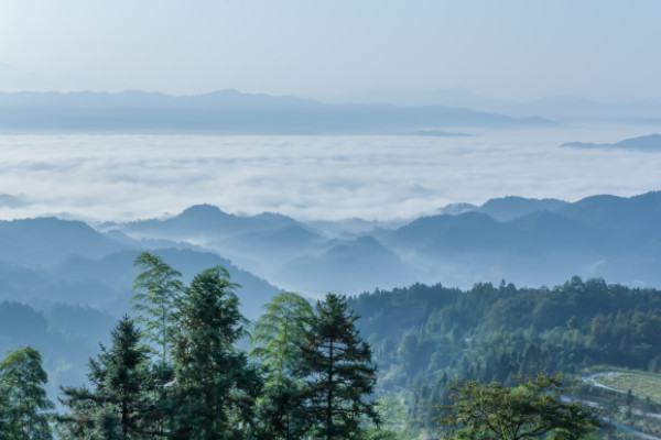 《村居》古诗的意思  村居高鼎创作背景