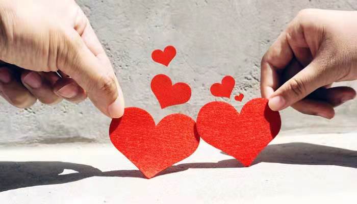 野花肆意生长爱意永不消退什么意思  野花肆意生长爱意永不消退什么意思