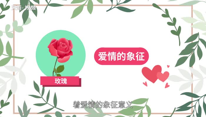 情人节送什么花好 情人节送女朋友什么花