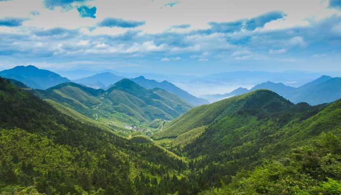 青山不老的意思是什么在课文中实际上指什么 课文题目青山不老的意思是什么实际上指什么