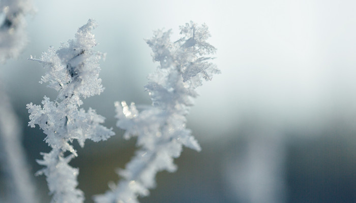 下雪的吉祥意义 下雪代表的吉祥寓意