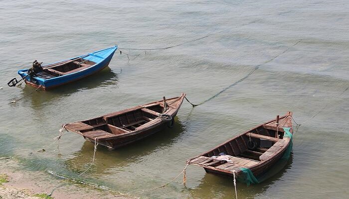 浮力产生的原因 浮力产生原因是什么