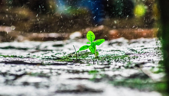 降雨量多少毫米是怎么计算 降雨量怎么计算