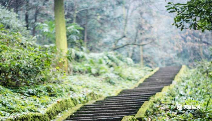 山重水复疑无路柳暗花明又一村赏析 山重水复疑无路柳暗花明又一村赏析句子