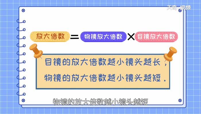 显微镜成像特点 显微镜的成像原理