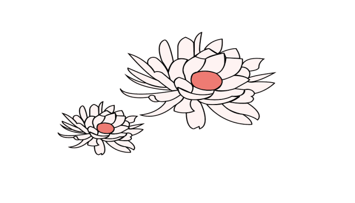 昙花简笔画 昙花简笔画怎么画