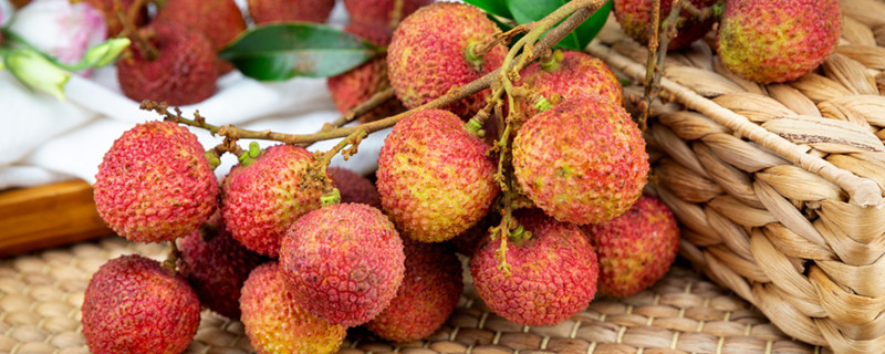 广东特产水果 广东特产水果有哪些