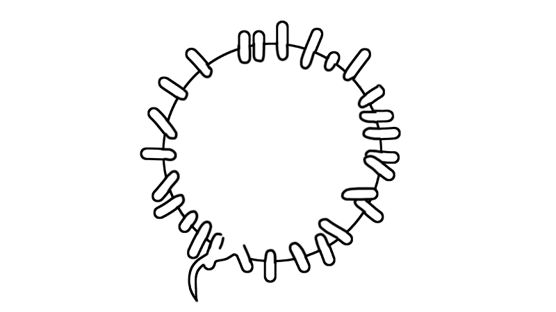 冠状病毒简笔画画法  冠状病毒简笔画步骤