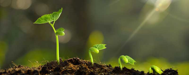 根据四季仿写春夏秋冬句子 仿写春夏秋冬写四句话