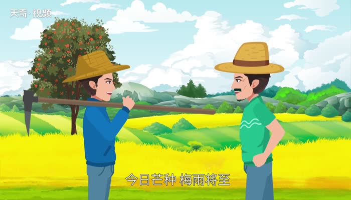 芒种在立夏前还是后 芒种节气在立夏前还是后