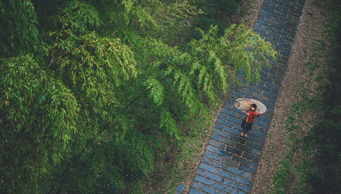 竹里馆主旨归纳 竹里馆的主旨