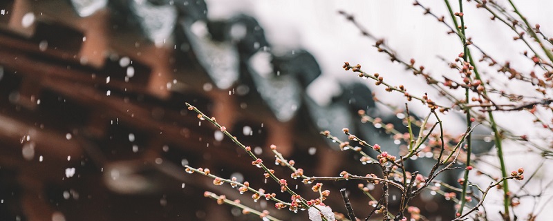 下雪路滑注意安全的话 有哪些注意下雪天安全的句子