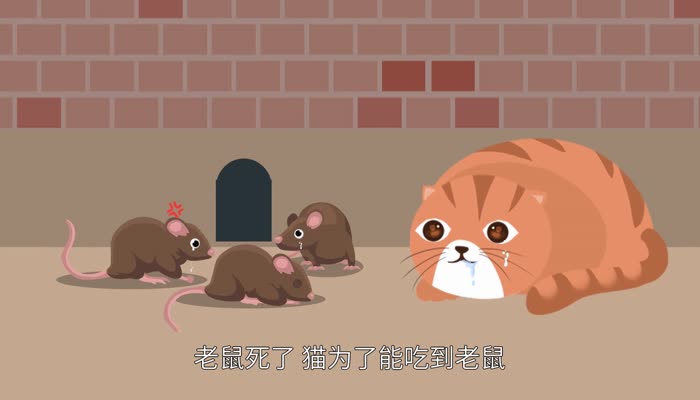 猫哭耗子歇后语 猫哭耗子歇后语下一句