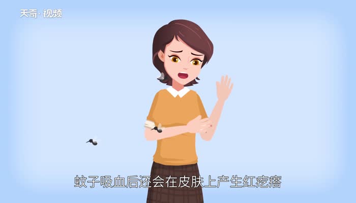 蚊子的危害 蚊子对人有什么危害