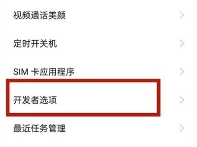 opporeno6开发者选项在哪里