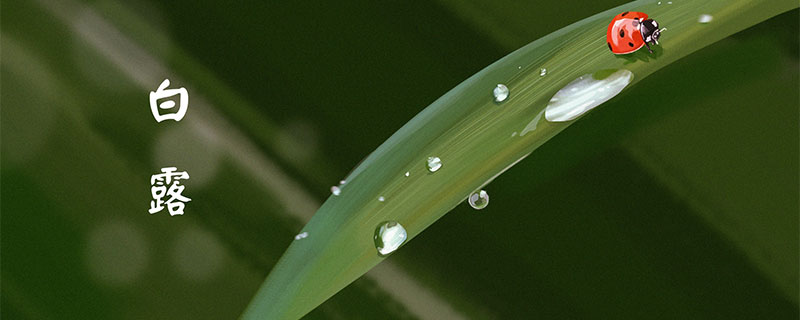 露水是怎么形成的 露水是从哪里来的