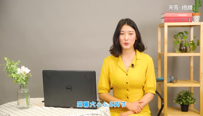 荣耀9x手机参数  荣耀9x手机参数