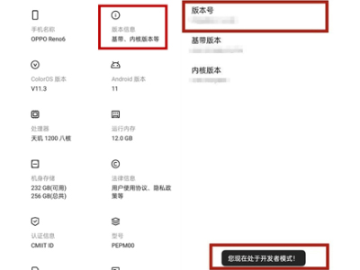 opporeno6开发者选项在哪里