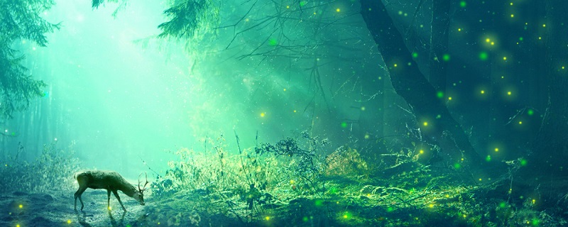 秋夕的翻译 秋夕的译文