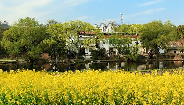 华西村是哪个省市县的 华西村在哪里