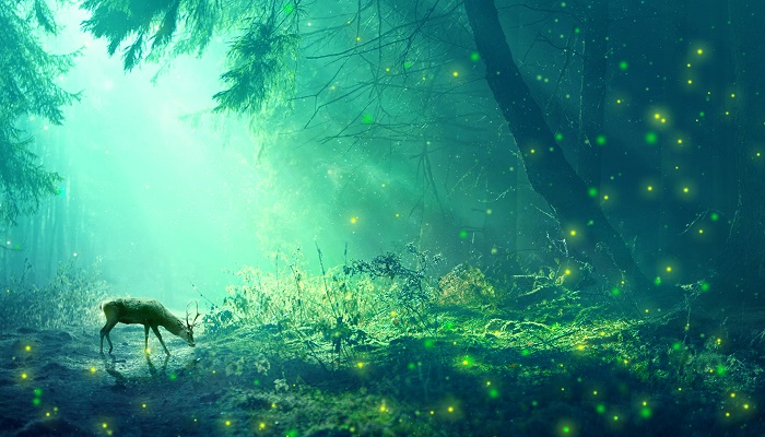 鹿脚和鹿腿的故事 鹿脚和鹿腿的故事是什么