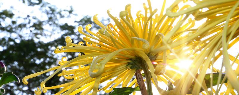 百花杀来我花开全诗 我花开后百花杀全文