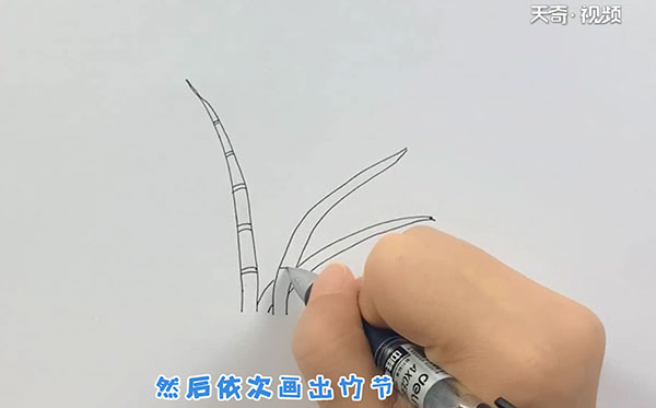 竹子的简笔画