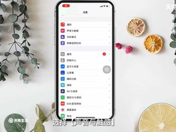 苹果手机来电铃声小怎么调大 苹果手机来电铃声小操作方法