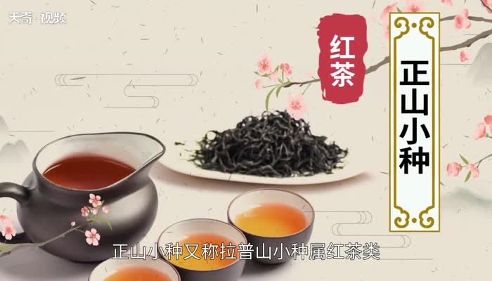 正山小种是什么茶  喝正山小种茶有什么好处