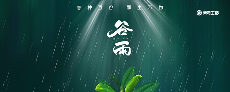 谷雨要做什么 谷雨要做什么农事