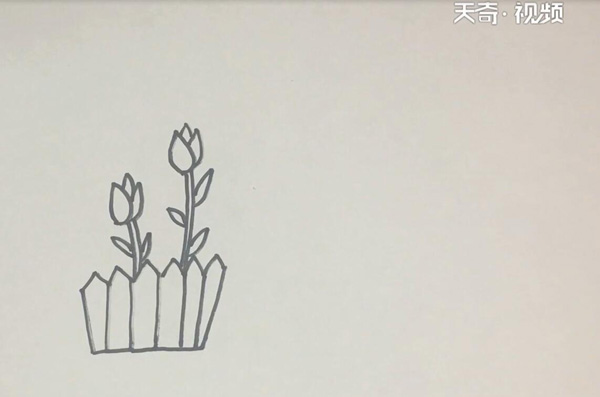 郁金香简笔画