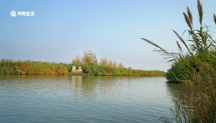 四大淡水湖分别是 四大淡水湖分别是什么湖