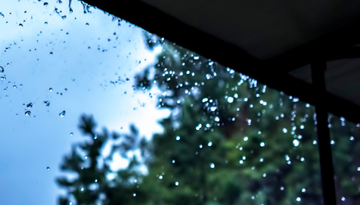 大雨时节的物候特征 下雨前动物的表现